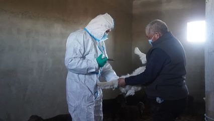 哈巴河县全面开展春季重大动物疫病防控工作，为畜牧业高质量发展保驾护航