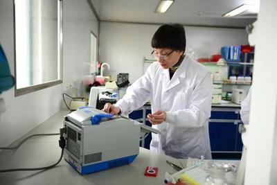 科技兴农的巾帼力量 陈瑞爱与她的家禽技术服务梦