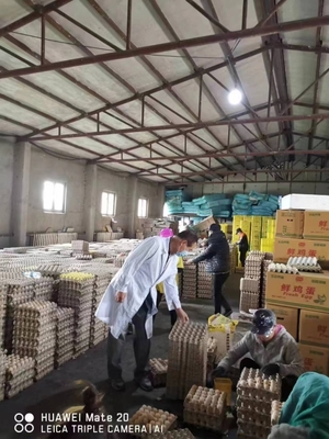 科技特派员精准赋能 哈尔滨市助力呼兰打造富硒鸡蛋地标品牌