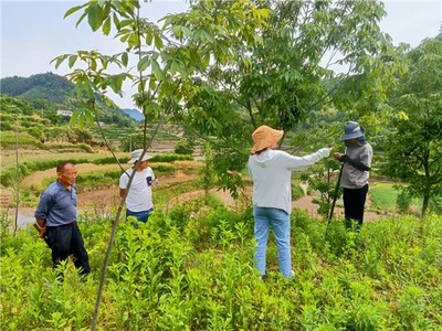 板桥头乡:特色种养业技术培训助力乡村振兴