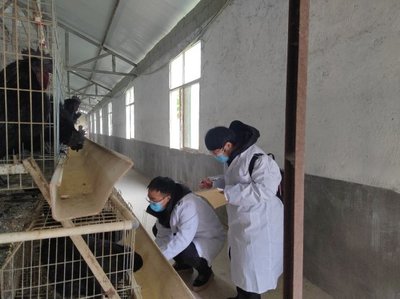 普安县新店镇迎来省级家禽技术服务 助力乡村振兴与产业发展