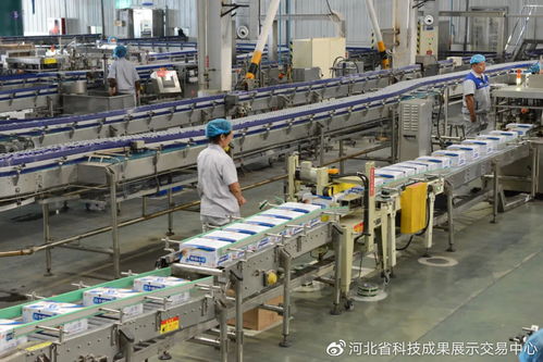 厉害了！河北5项农产品技术国内领先，家禽技术服务成亮点