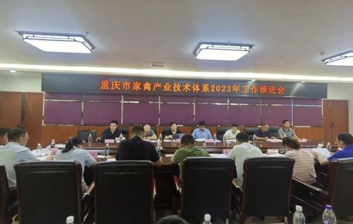 重庆市家禽产业技术体系首次推进会召开，开启家禽技术服务新篇章